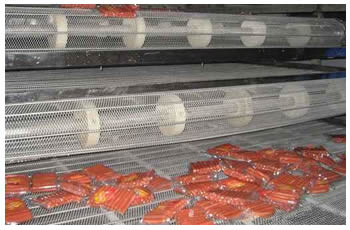 Several balanced weave conveyor belts are mounted for food processing industry.