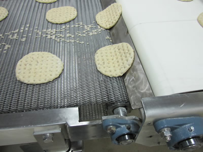 Several unbaked biscuit on the balanced weave oven mesh belt.