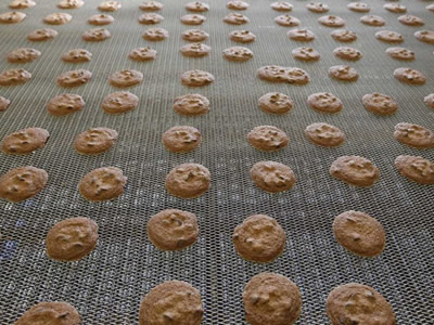 Several cookies on the balanced weave oven mesh belt.