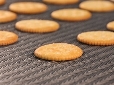 Several baked biscuits on the compound weave oven mesh belt.
