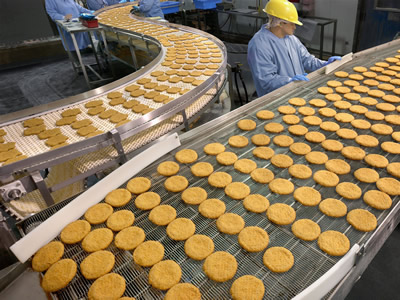 Two conveyor belt lines are conveying biscuits: one is plastic conveyor belt and the other is rod network belt.